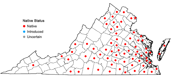 Locations ofCeltis laevigata Willd. in Virginia