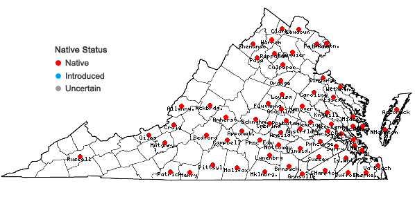 Locations ofCeltis laevigata Willd. in Virginia