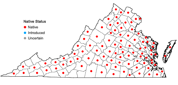 Locations ofCeltis occidentalis L. in Virginia