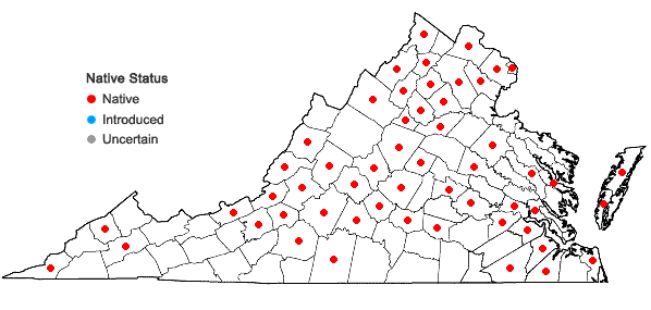 Locations ofCeltis pumila Pursh in Virginia