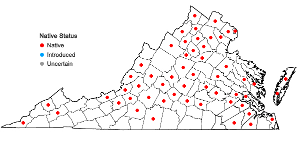 Locations ofCeltis tenuifolia Nutt. in Virginia