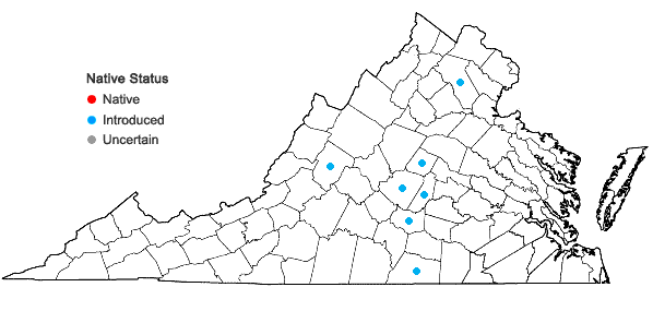 Locations ofCenchrus americanus (L.) Morrone in Virginia