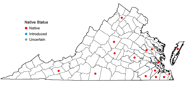 Locations ofCenchrus incertus M.A. Curtis in Virginia