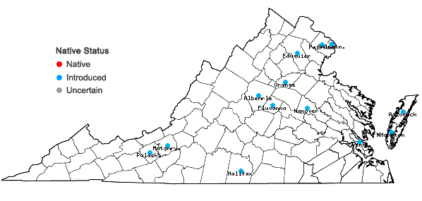 Locations ofCenchrus purpurascens Thunb. in Virginia