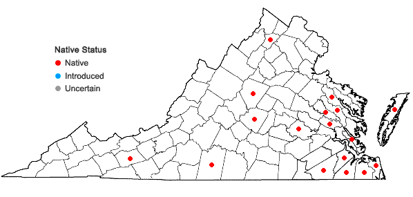 Locations ofCenchrus spinifex Cav. in Virginia