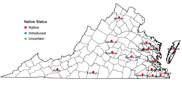 Locations ofCenchrus spinifex Cav. in Virginia