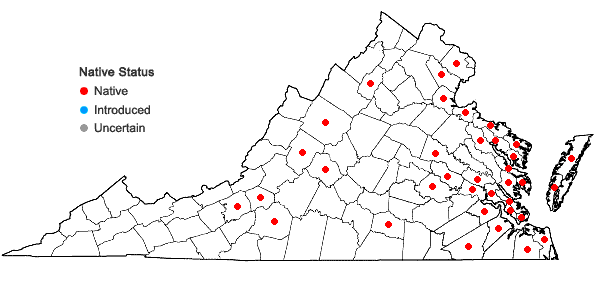 Locations ofCenchrus tribuloides L. in Virginia