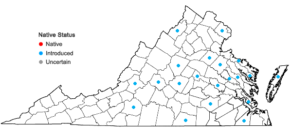 Locations ofCentaurea benedicta (L.) L. in Virginia