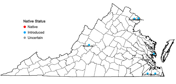 Locations ofCentaurea calcitrapa L. in Virginia