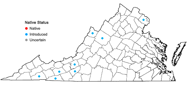 Locations ofCentaurea debeauxii Gren. & Godr. ssp. thuillieri Dostal in Virginia