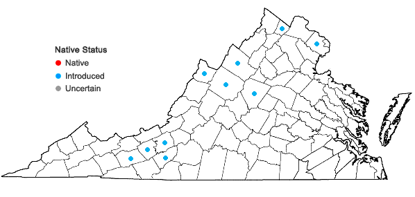 Locations ofCentaurea jacea L. in Virginia