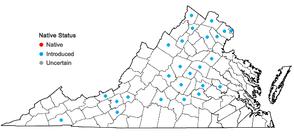 Locations ofCentaurea nigrescens Willd. in Virginia