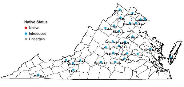 Locations ofCentaurea nigrescens Willd. in Virginia