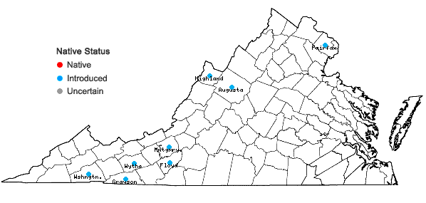 Locations ofCentaurea ×moncktonii C.E. Britton in Virginia