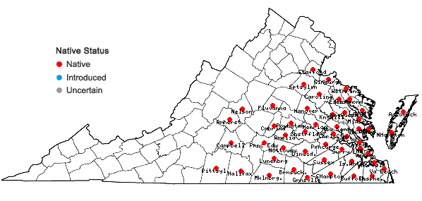 Locations ofCentrosema virginianum (L.) Benth. ssp. virginianum in Virginia