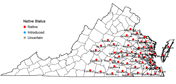 Locations ofCentrosema virginianum (L.) Benth. ssp. virginianum in Virginia