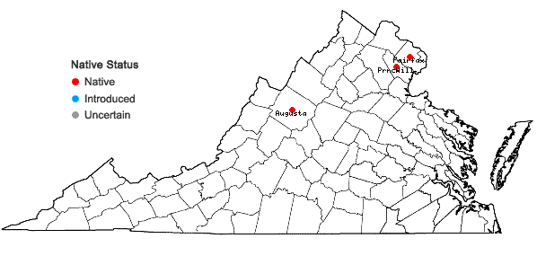Locations ofCentunculus minimus L. in Virginia
