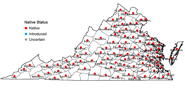 Locations ofCephalanthus occidentalis L. in Virginia