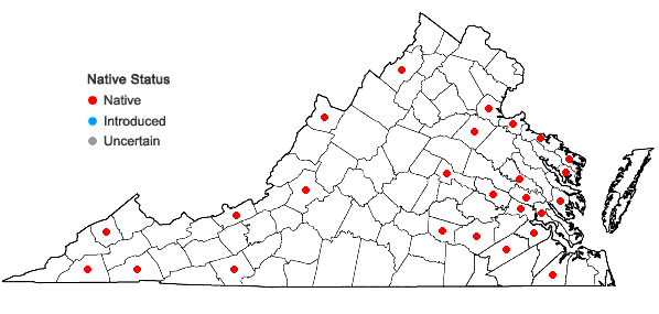 Locations ofCephalozia bicuspidata (L.) Dumort. in Virginia