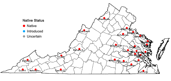 Locations ofCephalozia bicuspidata (L.) Dumort. in Virginia