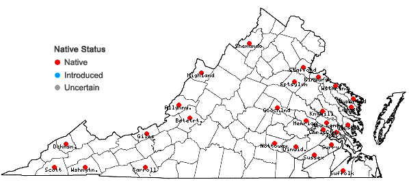 Locations ofCephalozia bicuspidata (L.) Dumort. in Virginia