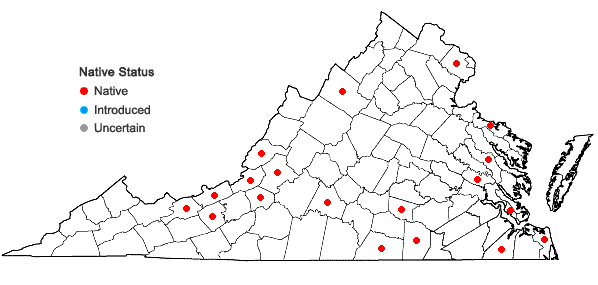 Locations ofCephaloziella divaricata (Sm.) Schiffn. in Virginia