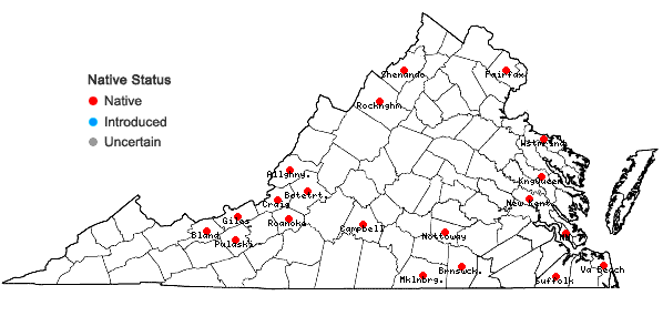 Locations ofCephaloziella divaricata (Sm.) Schiffn. in Virginia