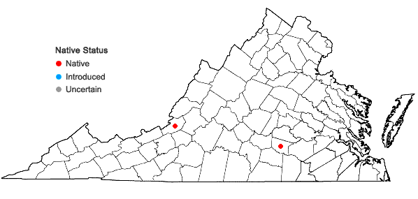 Locations ofCephaloziella divaricata (Sm.) Schiffn. var scabra (Howe) Haynes in Virginia