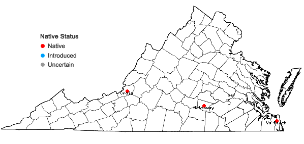 Locations ofCephaloziella divaricata (Sm.) Schiffn. var scabra (Howe) Haynes in Virginia