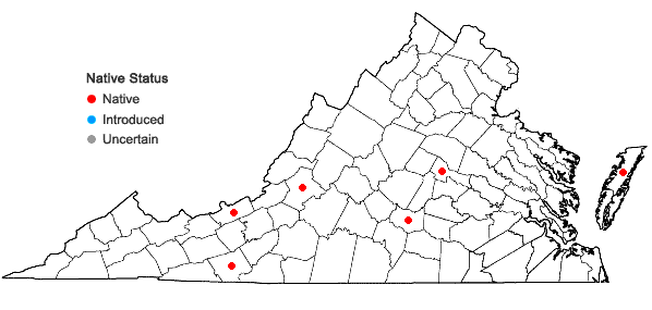 Locations ofCephaloziella rubella (Nees) Warnst. in Virginia