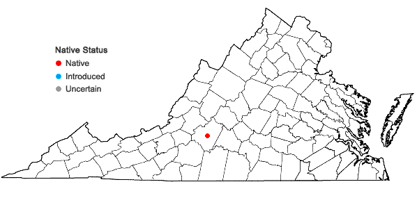 Locations ofCerastium arvense L. ssp. strictum Gaudin in Virginia