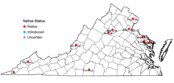 Locations ofCerastium brachypodum (Engelm. ex Gray) B.L. Robinson in Virginia