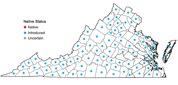 Locations ofCerastium fontanum Baumg. ssp. vulgare (Hartman) Greuter & Burdet in Virginia