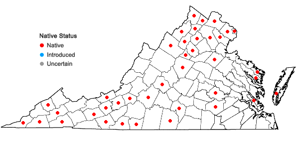 Locations ofCerastium nutans Raf. in Virginia