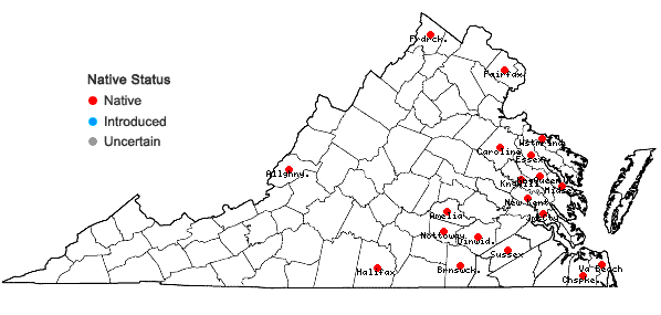 Locations ofCeratophyllum echinatum A. Gray in Virginia