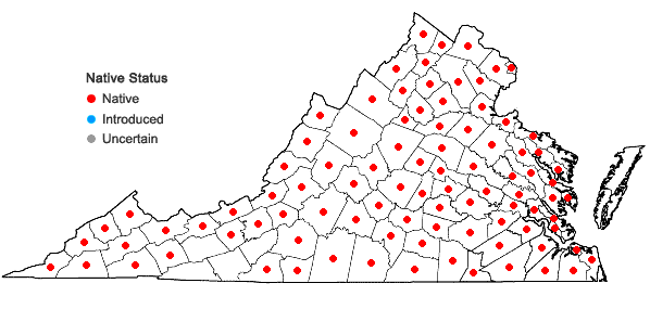 Locations ofCercis canadensis L. var. canadensis in Virginia