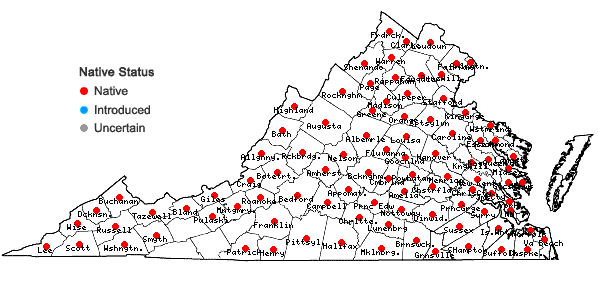 Locations ofCercis canadensis L. var. canadensis in Virginia