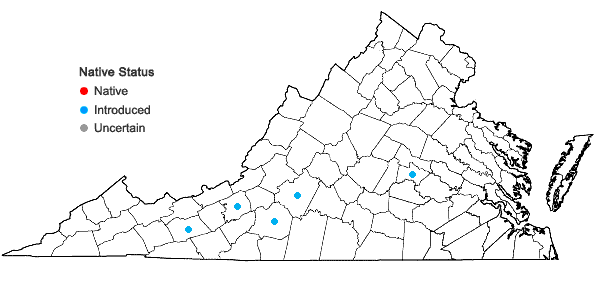 Locations ofChaenomeles speciosa (Sweet) Nakai in Virginia