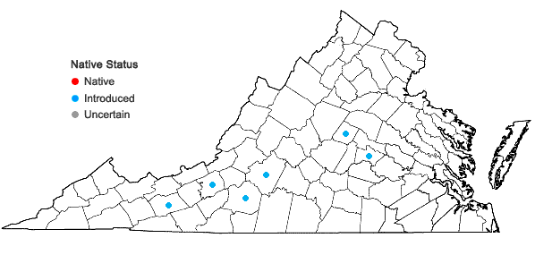 Locations ofChaenomeles speciosa (Sweet) Nakai in Virginia