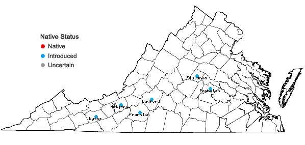 Locations ofChaenomeles speciosa (Sweet) Nakai in Virginia