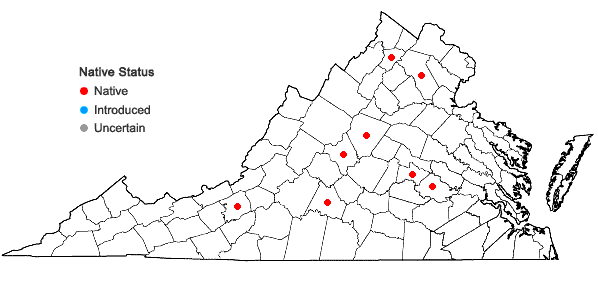 Locations ofChaerophyllum procumbens (L.) Crantz var. shortii Torr. & Gray in Virginia