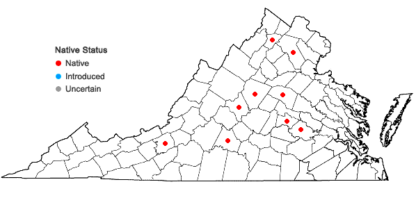 Locations ofChaerophyllum procumbens (L.) Crantz var. shortii Torr. & Gray in Virginia