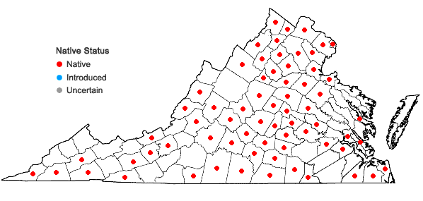 Locations ofChaerophyllum procumbens (L.) Crantz var. procumbens in Virginia