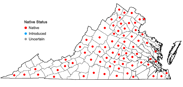 Locations ofChaerophyllum procumbens (L.) Crantz var. procumbens in Virginia