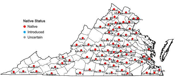 Locations ofChaerophyllum procumbens (L.) Crantz var. procumbens in Virginia