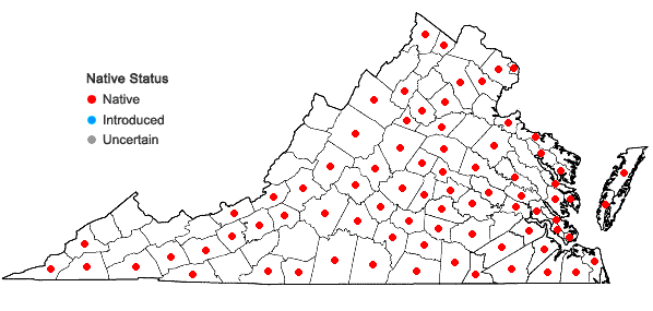 Locations ofChaerophyllum tainturieri Hook. var. tainturieri in Virginia