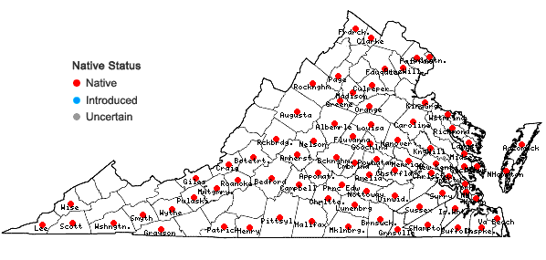 Locations ofChaerophyllum tainturieri Hook. in Virginia