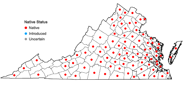 Locations ofChamaecrista fasciculata  (Michx.) Greene var. fasciculata in Virginia