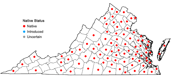 Locations ofChamaecrista fasciculata (Michx.) Greene var. fasciculata in Virginia