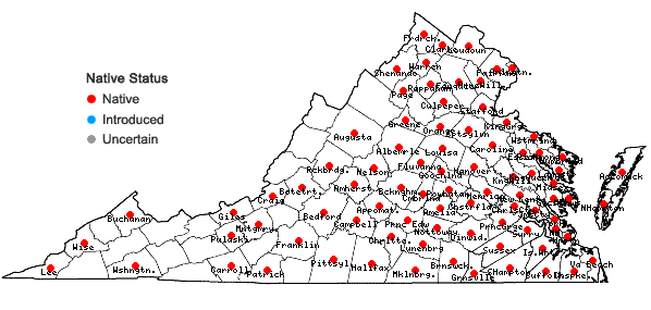 Locations ofChamaecrista fasciculata  (Michx.) Greene var. fasciculata in Virginia